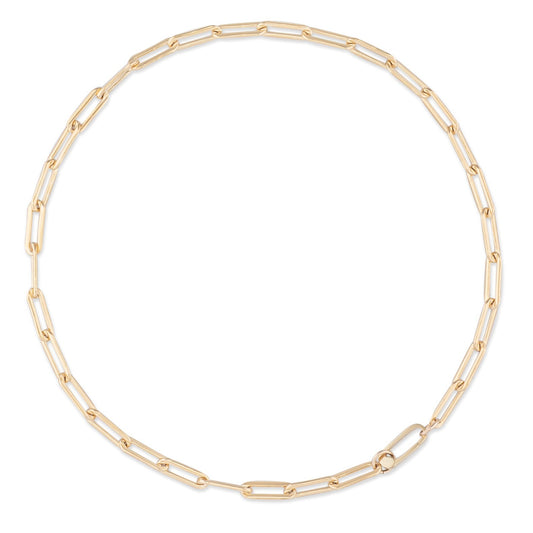 Gold Filled Chain Small Clasp Necklace