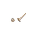 Load image into Gallery viewer, 14 Karat Yellow Gold Diamond Mini Pave Stud Earrings
