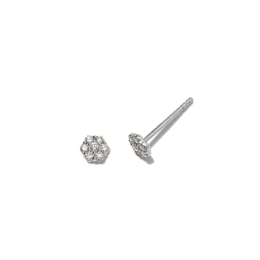 14 Karat White Gold Diamond Mini Pave Stud Earrings