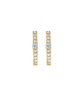 Load image into Gallery viewer, Everyday Accented Diamond 13mm Hoops
