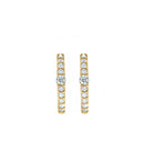 Round Accented 12mm Diamond Hoops