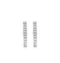 Load image into Gallery viewer, Everyday Accented Diamond 13mm Hoops
