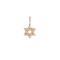 Load image into Gallery viewer, Yellow Gold Star of David Charm
