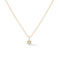 Load image into Gallery viewer, Yellow Gold Star of David Charm
