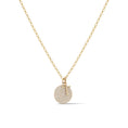 Load image into Gallery viewer, Large Yellow Gold and Diamond Disk Pendant
