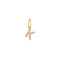 Load image into Gallery viewer, 14 Karat Yellow Gold and Diamond Mini Initial Charm
