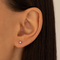 Load image into Gallery viewer, .15ctw 2.5mm Natural Diamond Stud Earrings
