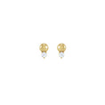 Load image into Gallery viewer, 14 Karat Small Diamond Bead Stud Earrings
