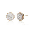 Load image into Gallery viewer, 18 Karat Yellow Halo Stud Earrings 2.55cts
