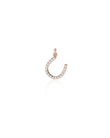 DIAMOND HORSESHOE